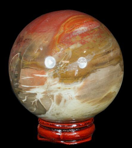 Colorful Petrified Wood Sphere #49739